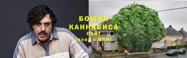 ПСИЛОЦИБИНОВЫЕ ГРИБЫ Верхнеуральск